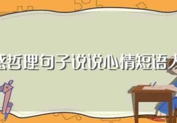 情感哲理句子说说心情短语大全(情感哲理句子说说心情语句大全)