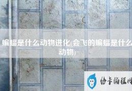 蝙蝠是什么动物进化(会飞的蝙蝠是什么动物)