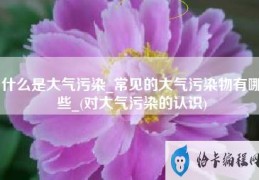 什么是大气污染常见的大气污染物有哪些(对大气污染的认识)