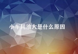 小车耗油大是什么原因(影响小车耗油的因素分析)