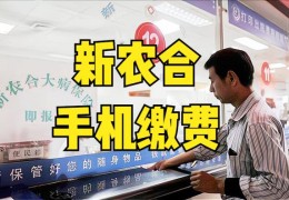 2022新农合缴费方式(农村合作医疗网上缴费怎样交)