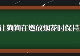 如何让狗狗在燃放烟花时保持冷静(让狗狗在燃放烟花时保持冷静方法)