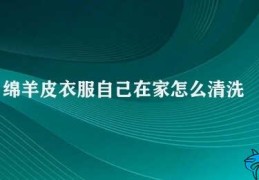 绵羊皮衣服自己在家怎么清洗(自己在家清洗绵羊皮衣服的小技巧)