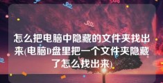 怎么把电脑中隐藏的文件夹找出来(电脑D盘里把一个文件夹隐藏了怎么找出来)