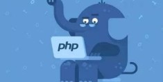 为什么开发人员讨厌PHP ! !