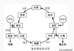 侯德榜制碱制的是什么碱？(侯氏制碱法的碱是什么)