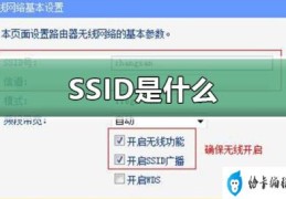 什么是网络ssid(SSID是什么意思)