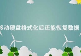 移动硬盘格式化后还能恢复数据吗(移动硬盘数据恢复潜力)