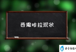 西撒哈拉现状(西撒哈拉是个什么概念？)