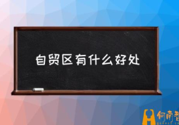 自贸区企业是什么意思？(自贸区有什么好处)