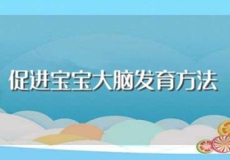 促进宝宝大脑发育方法(怎么促进大脑发育)