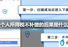 企业个人所得税补缴流程(个人所得税怎么补交)