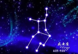 处女座2024年1月运势(处女座2024年一月份运势)