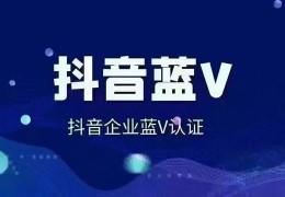 抖音seo排名系统-东莞短视频优化公司