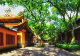 法雨寺主要祈福什么(法雨寺供奉什么菩萨)