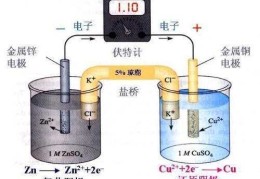 原电池正极是阳极还是阴极