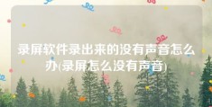 录屏软件录出来的没有声音怎么办(录屏怎么没有声音)