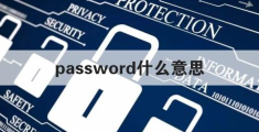 password什么意思(“密码”,用英语怎么说?)