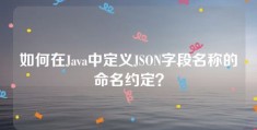 如何在Java中定义JSON字段名称的命名约定？