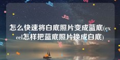 怎么快速将白底照片变成蓝底(excel怎样把蓝底照片换成白底)