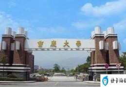 重庆各大学排名2021最新排名(重庆大学排第一)