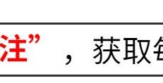 白百何一指禅事件（白百何又被曝大瓜）