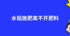 水稻施肥离不开肥料，如何正确使用肥料？