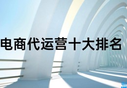 山东电商代运营公司排名(杭州电商代运营十大公司排名)