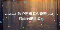 windows11账户密码怎么查看(win11的pin码是什么)