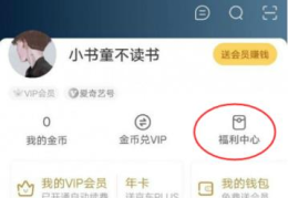 爱奇艺vip共享账号（爱奇艺vip激活码大全）