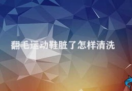 翻毛运动鞋脏了怎样清洗(如何清洗翻毛运动鞋)