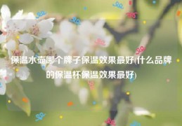 保温水壶哪个牌子保温效果最好(什么品牌的保温杯保温效果最好)