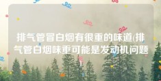 排气管冒白烟有很重的味道(排气管白烟味重可能是发动机问题)