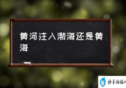 黄河注入渤海还是黄海(黄河流入的是什么海？)