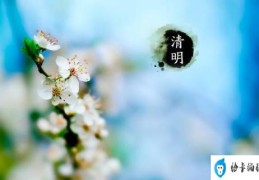 清明节的由来和习俗你知道多少(清明节的故事来历)