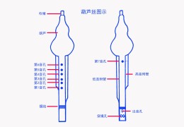 葫芦丝教程入门零基础教学(葫芦丝初学入门指法)