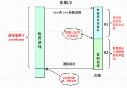 解析Linux高性能网络IO和Reactor模型