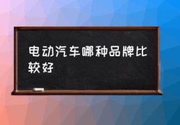 电动汽车哪种品牌比较好(新能源汽车企业排行？)