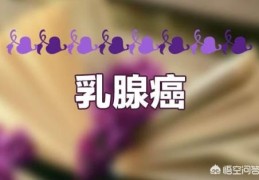 癌症放化疗时吃什么食疗好？(放化疗期间吃什么好)