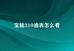 宝骏310油表怎么看(查看汽车油表的技巧)