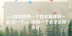 excel如何把同一个姓名数据并一起(在一个excel中同一个名字怎样合计)