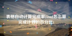 表格自动计算完成率(word怎么算完成计划的百分比)