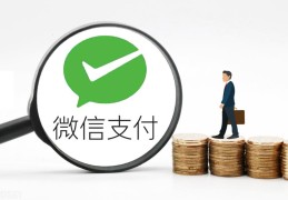 怎么解除微信零钱限制(微信零钱限额多少)