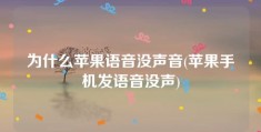 为什么苹果语音没声音(苹果手机发语音没声)