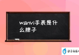 wanvi手表是什么牌子(万维手表怎么样？)