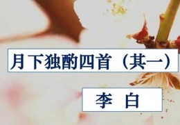 花间一壶酒下一句是什么