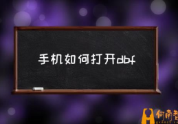 dbf文件如何打开？(手机如何打开dbf)