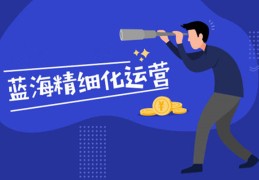 蓝海产品是什么意思(电商红海和蓝海产品指什么)