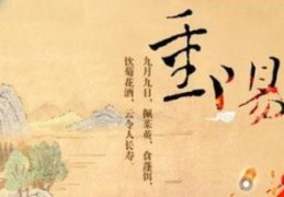 重阳节送什么礼物最好(重阳节送老人什么礼物)