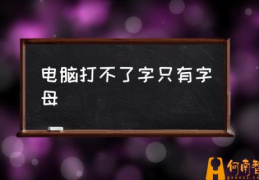 电脑打不出汉字怎么办？(电脑打不了字只有字母)